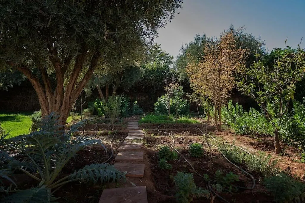 So Le Palais… Make The Planet Chic Again! Villa Marrakesh