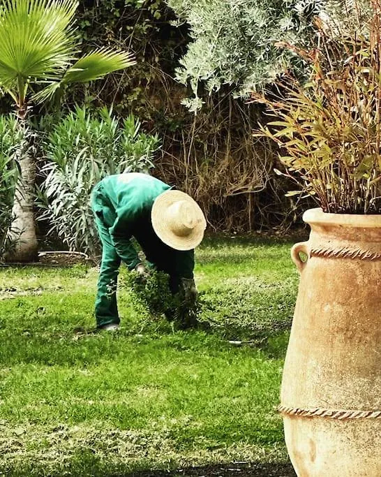 So Le Palais… Make The Planet Chic Again! Villa Marrakesh 0*,  Morocco